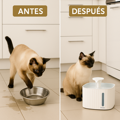 HidraPet™ –  La primera fuente que te libera de preocupaciones, atrayendo a tu gato para que se mantenga hidratado este verano, incluye 2 filtros lavables + 3 filtros de salida de agua para 9 meses + triple filtrado + garantía de 5 años (+Envío GRATIS)