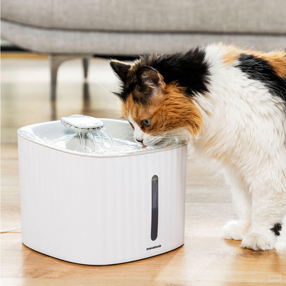 HidraPet™ –  La primera fuente que te libera de preocupaciones, atrayendo a tu gato para que se mantenga hidratado este verano, incluye 2 filtros lavables + 3 filtros de salida de agua para 9 meses + triple filtrado + garantía de 5 años (+Envío GRATIS)